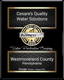 Cesare's Quality Water Solutions - Best Water Purification Company award from BusinessRate
