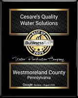 Cesare's Quality Water Solutions - Best Water Purification Company award from BusinessRate