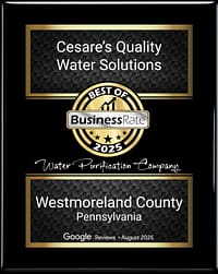 Cesare's Quality Water Solutions — Best Purification Company Award, SW Pennsylvania