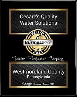 Cesare's Quality Water Solutions - Best Water Purification Company Award